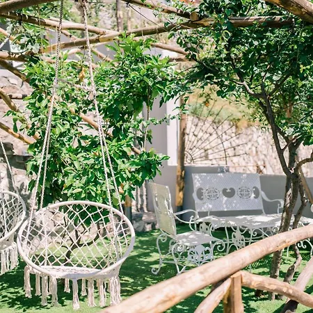 Actea Positano
